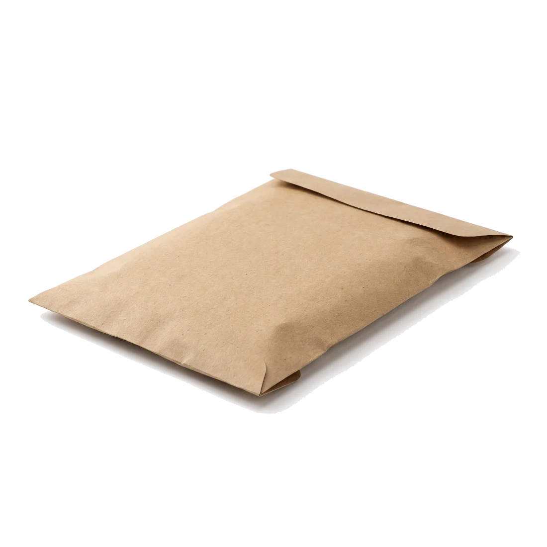A thick plain kraft envelope, flap tucked in, lying flat.